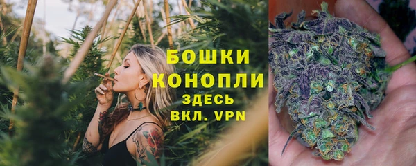 гидропоника Алексеевка