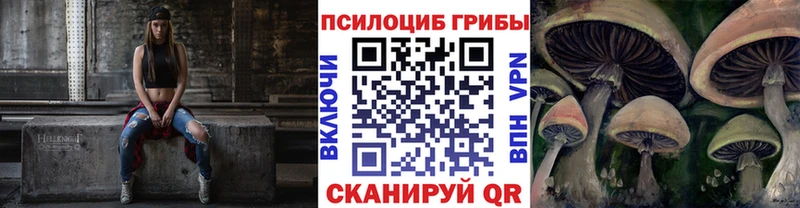 Купить  Всеволожск  Галлюциногенные грибы мицелий 